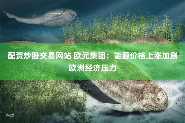 配资炒股交易网站 欧元集团：能源价格上涨加剧欧洲经济压力