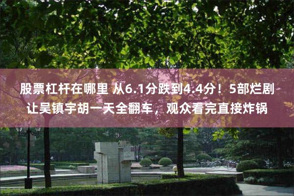 股票杠杆在哪里 从6.1分跌到4.4分！5部烂剧让吴镇宇胡一天全翻车，观众看完直接炸锅