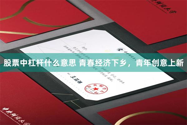 股票中杠杆什么意思 青春经济下乡，青年创意上新