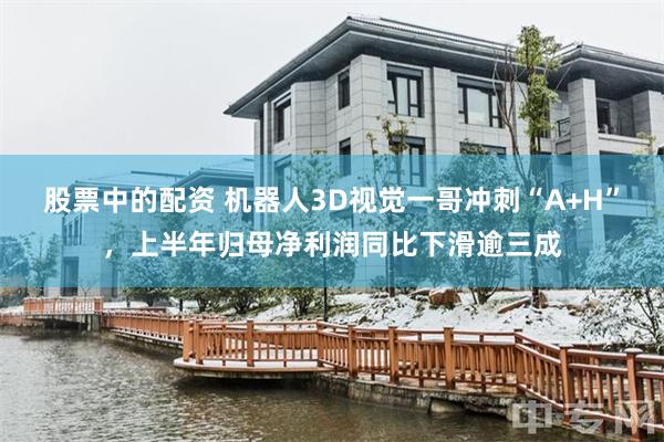 股票中的配资 机器人3D视觉一哥冲刺“A+H”,上半年归母净利润同比下滑逾三成