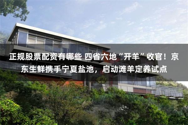 正规股票配资有哪些 四省六地“开羊”收官!京东生鲜携手宁夏盐池,启动滩羊定养试点