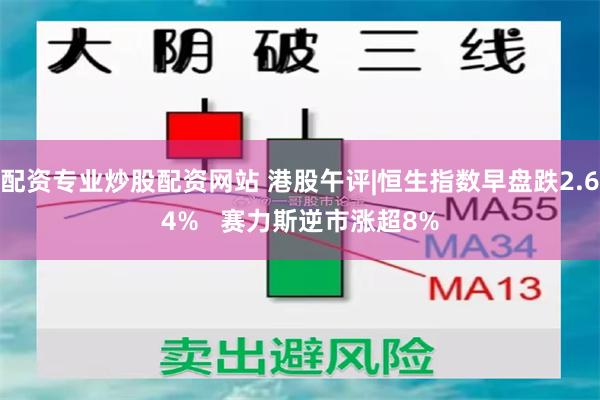 配资专业炒股配资网站 港股午评|恒生指数早盘跌2.64% 赛力斯逆市涨超8%
