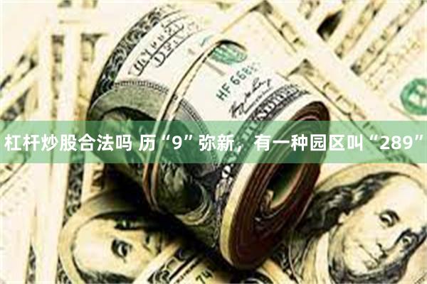 杠杆炒股合法吗 历“9”弥新，有一种园区叫“289”